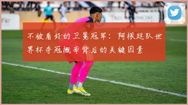 不被看好的卫冕冠军：阿根廷队世界杯夺冠概率背后的关键因素